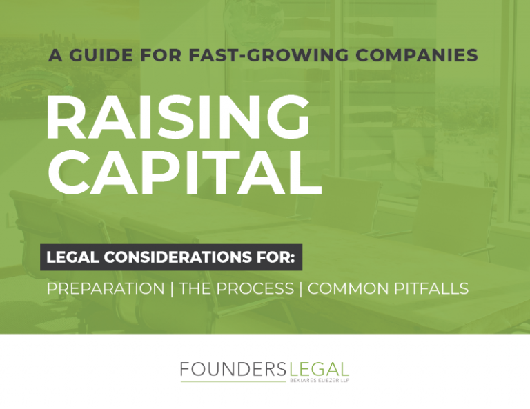 Capital Raising for Fast-growing Companies Guide