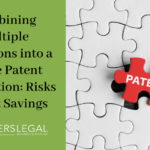 Combining Multiple Inventions into a Single Patent Application Risks vs. Cost Savings